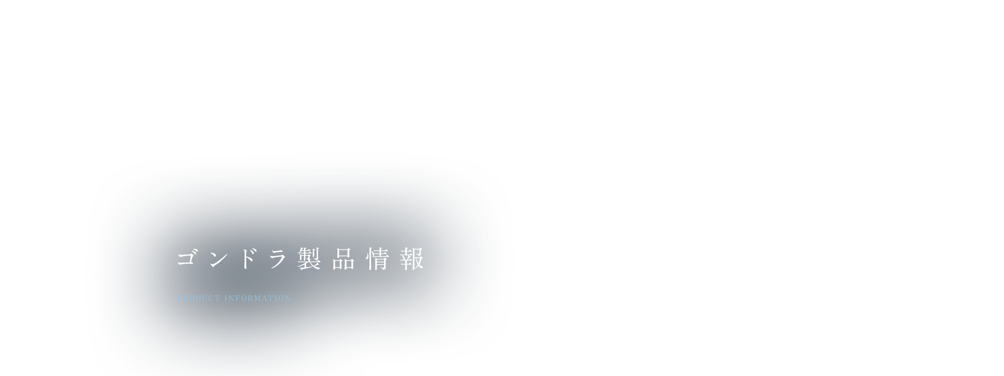 ゴンドラ製品情報